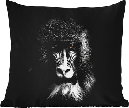 Tuinkussen - Aap - Dieren - Ogen - Bruin - Zwart wit - 40x40 cm - Weerbestendig