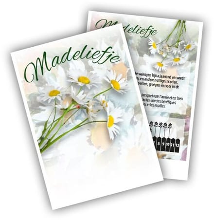 Cadeau premium Madelief (100 zakjes)