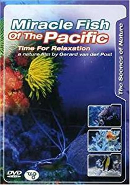 Miracle Fish -Relaxation-