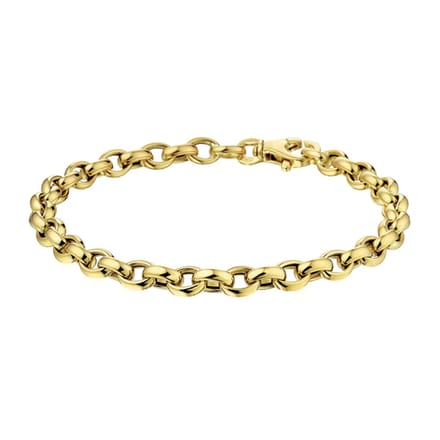14K Geelgoud Armband Jasseron 5,0 Mm 19 Cm 4028187