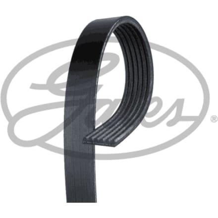 V-riem GATES 6PK1995