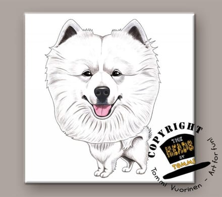Tegel Hond Samoyed