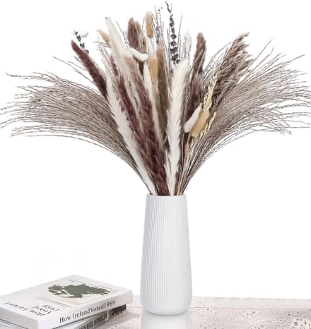 Dailygoods - 102 Stuks Gedroogde Pampasgras voor Elegante Decoratie