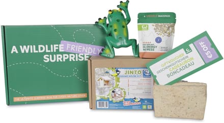Junior Ontdek & Leer Box
