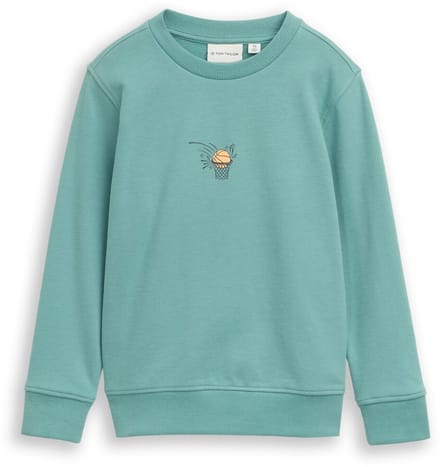 Tom Tailor - Glow-in-the-dark sweatshirt met print op de rug - Maat 92/98 - Salvia