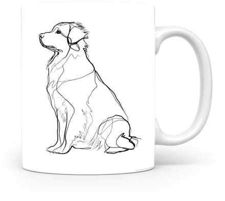 Beker Nova Scotia Duck Tolling Retriever