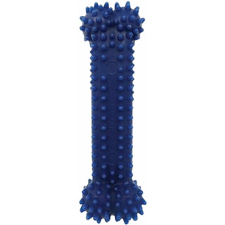 Hondenspeelgoed Nylabone Moderate Dental Chew - Chicken L