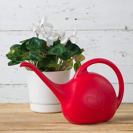1/2 Gallon Indoor Watering Can with Curved Handle