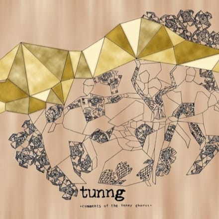 Tunng - Comments Of The Inner Chorus (CD)
