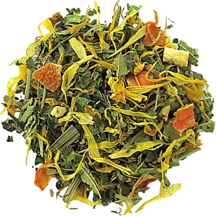 De Kruidenbaron - Fresh & Fitness thee - 1 kilo