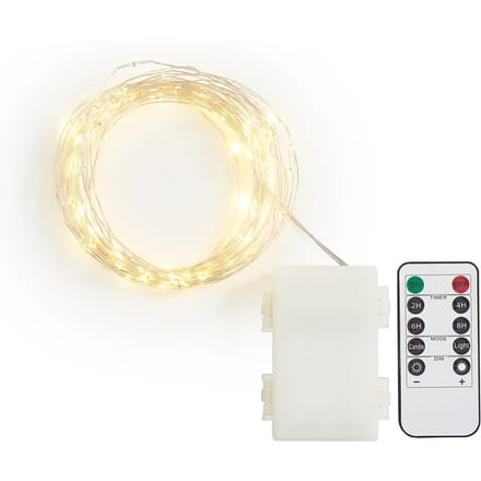 Outdoor Micro LED snoer lampie, met afstandsbediening, 100 LED's