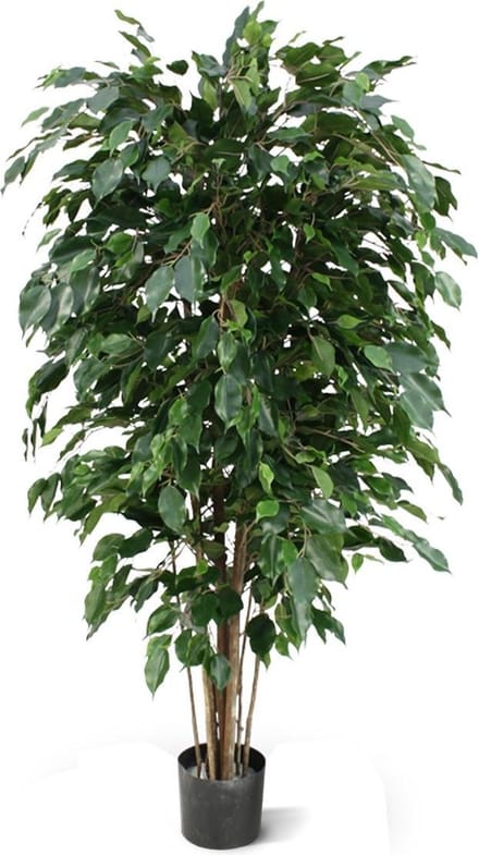 Ficus Exotica deluxe kunstplant 150cm - groen