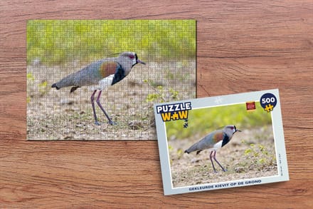 Puzzel Gekleurde kievit op de grond - Legpuzzel - Puzzel 500 stukjes