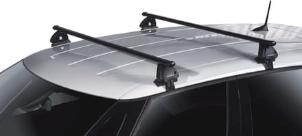 Dakdragers geschikt voor Polestar 2 2020-heden Green Valley Easy One Evo zwart