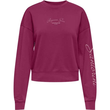 ONLY - ONLTABBA L/S ROUND NECK UB SWT Dames Trui