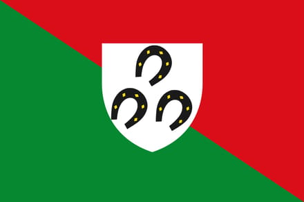 Vlag Bertrix 200x300cm