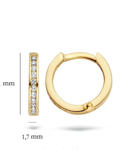 Blush 7614YDI oorbellen oorring 14 k geelgoud met diamant
