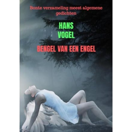 Bengel Van Een Engel - Hans Vogel