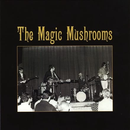 Magic Mushrooms - I'm All Ears/Pain
