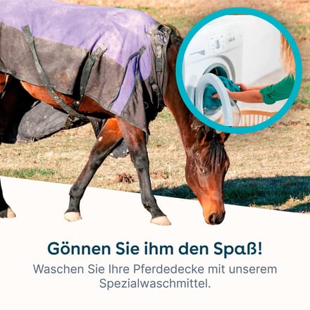 eco:fy® Paardendeken wasmiddel • Wasmiddel voor synthetische en katoenen dekens 5