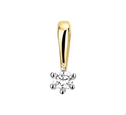 Huiscollectie Hanger Bicolor Goud Diamant 0.05ct H SI