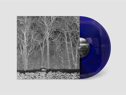 Pile - Sunshine And Balance Beams (LP) (Coloured Vinyl)
