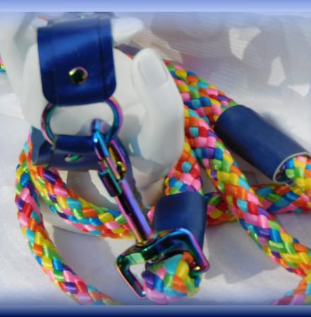 Hetty'S -  Luxe Set: Halsband & Riem – Blauw Glanzend Leer -Rainbow accenten