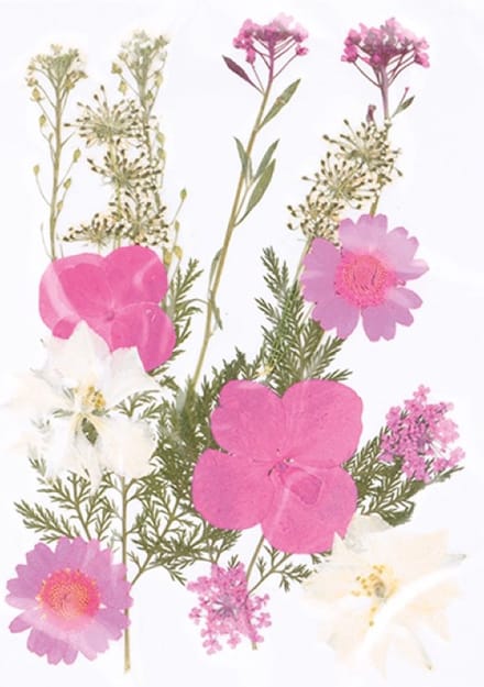Geperste droogbloemen - Artemio