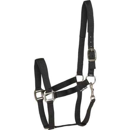 Pony halster HorseGuard Nylon