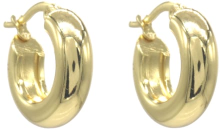 Oorbellen - RVS - goudkleurig - 18mm - dames - sieraden - stijlvol - elegant - cadeau