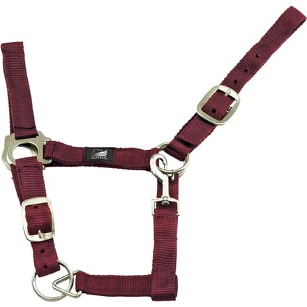 Nylon halster voor paard met dubbele aanpassing Supreme