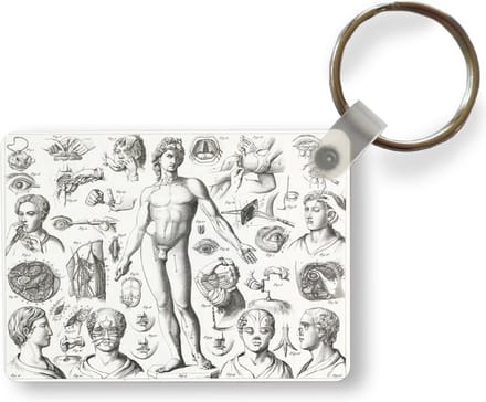 Sleutelhanger - Illustraties van verschillende chirurgische ingrepen - Uitdeelcadeautjes - Plastic