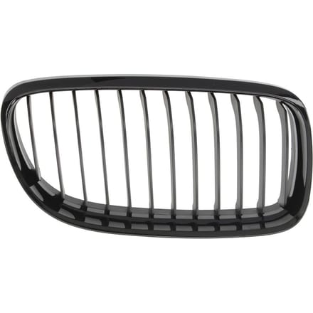 Radiatorrooster BLIC 6502-07-0062992BQ rechts