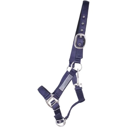 QHP - Veiligheidshalster gevoerd - Blauw - Full