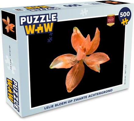 Puzzel Bloemen - Oranje - Lelie - Legpuzzel - Puzzel 500 stukjes