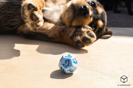 Q-Workshop dobbelstenen set honden Max - educatief spel.