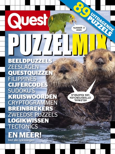 Quest Puzzelmix 3 2025