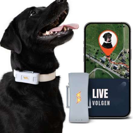 Core® GPS Tracker hond - GPS Tracker - GPS Trackers - Zwart - ‎8cm x 4cm x 2cm