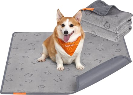 Feandrea - Trainingsmat - Herbruikbare Waterdichte Mat - Antislip en Absorberend