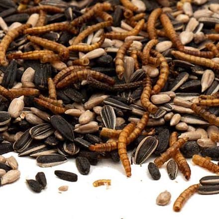 Strooivoer Zonnepit trio met Meelwormen - 9 kg