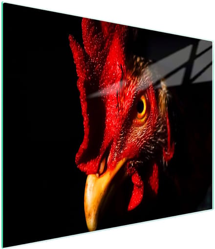 TMK ArtDeko - Snijplank van gehard glas - 52x30 cm - Kogut design