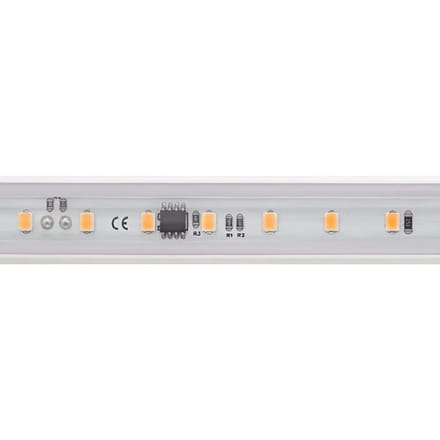 Hoogspannings LED-strip Sigor Ip65 3000K 14W 25m