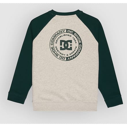 DC Corpo Raglan Crew Kids Sweater groen