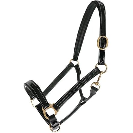 Leren halster voor paarden Chetak Bright