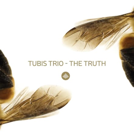 Truth - Tubis Trio