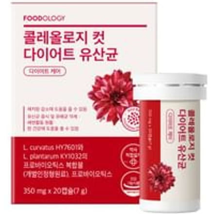 FOODOLOGY - FOODOLOGY