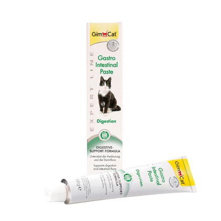 Gimcat Gastro Intestinal Pasta - Kattensnack - 50 g