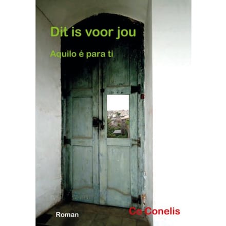 Dit Is Voor Jou - Co Conelis