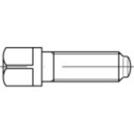 TOOLCRAFT 107983 Vierkantbouten M20 60 mm Vierkant DIN 480 Staal 10 stuk(s)