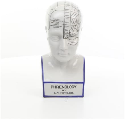 Porseleinen Phrenology Hoofd in blauwe kleuring